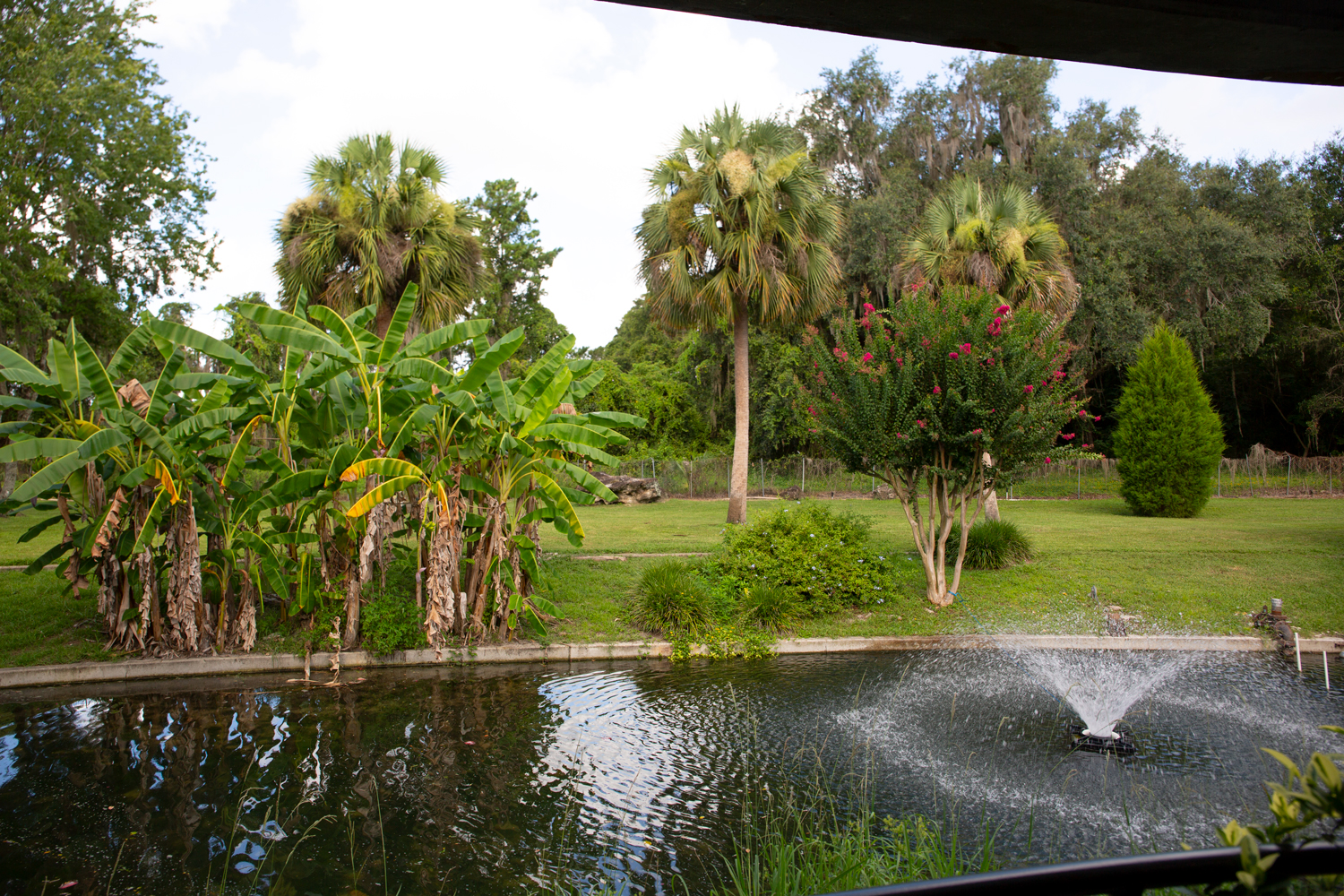 Back Fountain