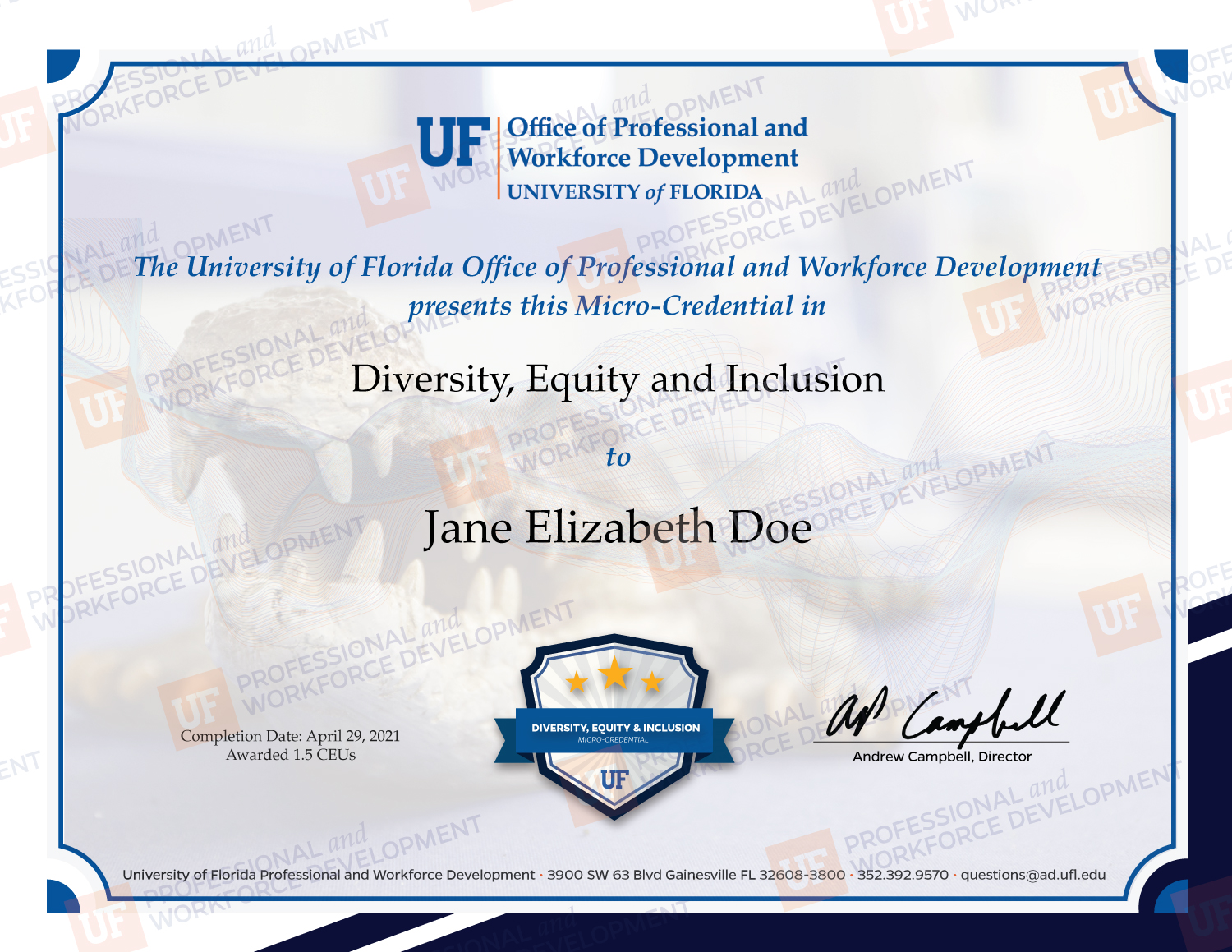 Professional and Workforce Development University of Florida