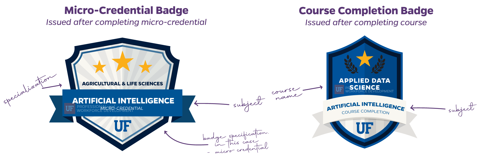 Digital Badges, Business Student Credentials