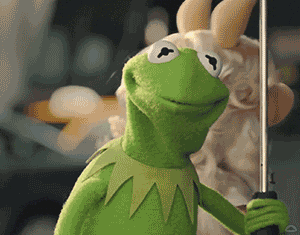Kermit the Frog slowly raises an eyebrow and looks unimpressed while holding a staff or pole.